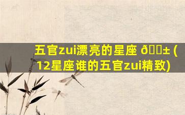 五官zui
漂亮的星座 🐱 (12星座谁的五官zui
精致)